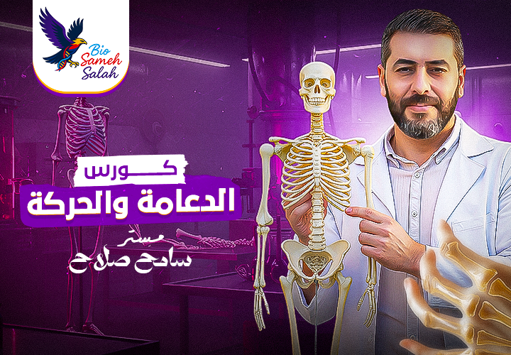 اسئلة علي الحركة في النبات من الاسئلة الاسترشادية للعام السابق